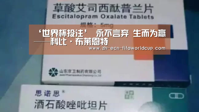 世界杯投注