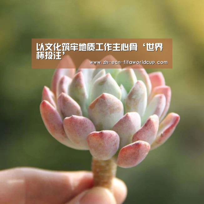 以文化筑牢地质工作主心骨‘世界杯投注’