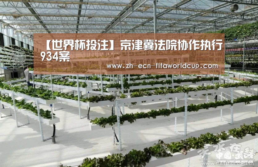 【世界杯投注】京津冀法院协作执行934案