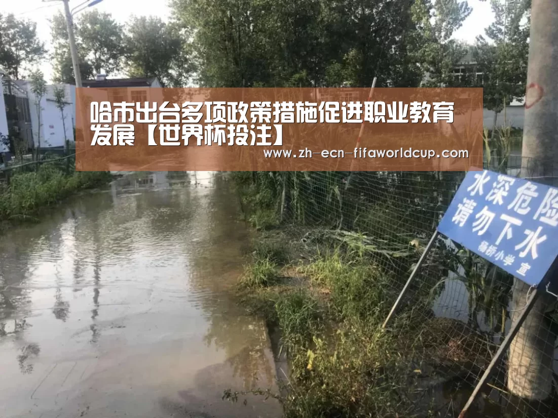 哈市出台多项政策措施促进职业教育发展【世界杯投注】(图4) 世界杯投注