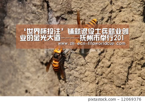 世界杯投注