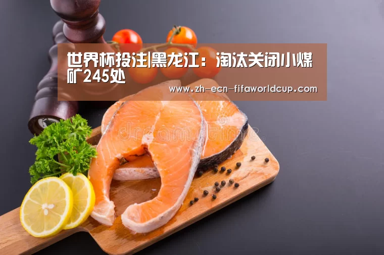 世界杯投注|黑龙江:淘汰关闭小煤矿245处(图2) 世界杯投注