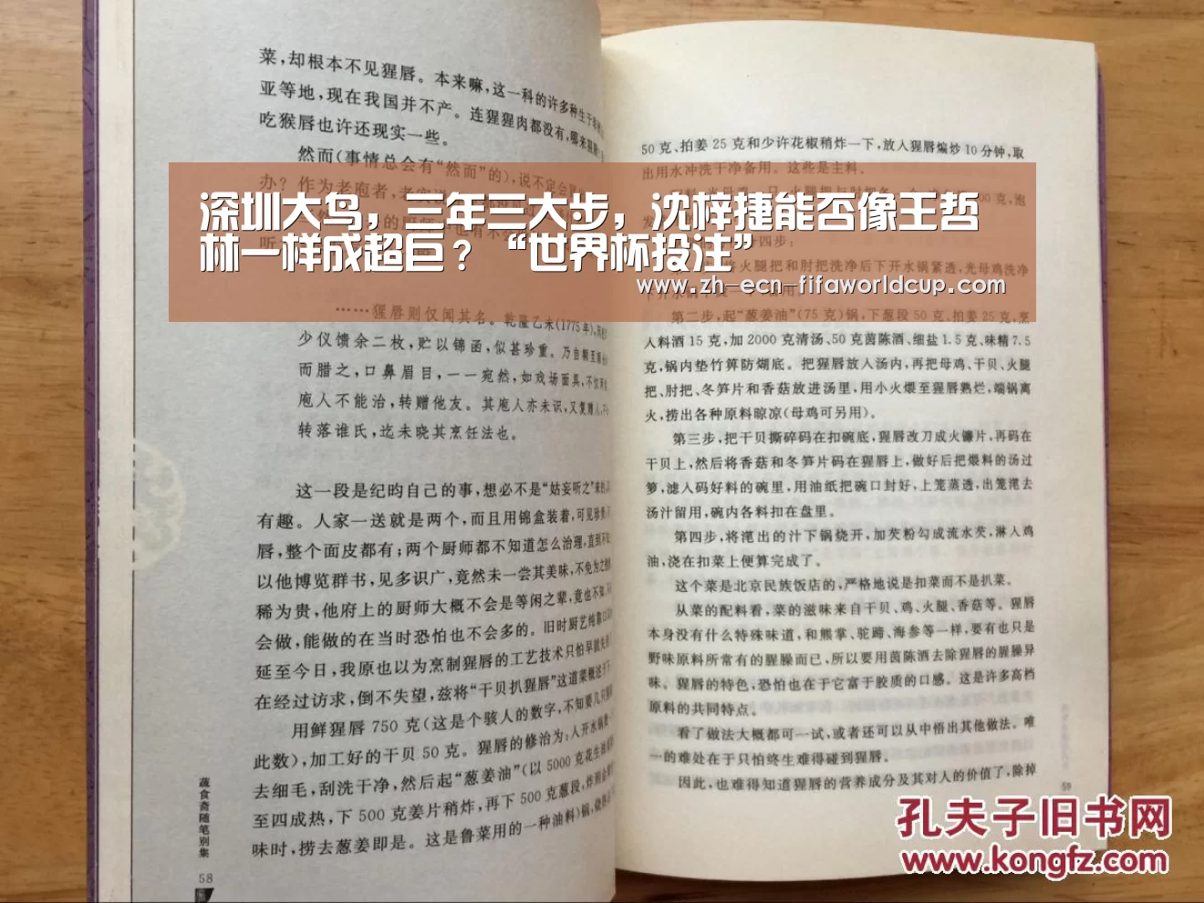 深圳大鸟，三年三大步，沈梓捷能否像王哲林一样成超巨？“世界杯投注”