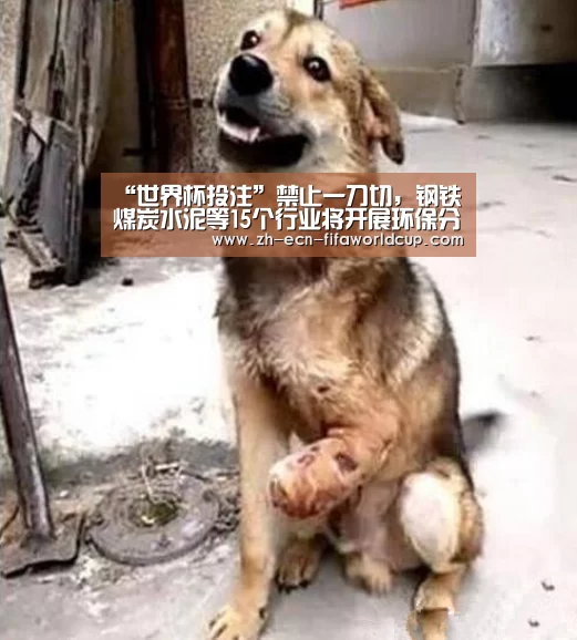 世界杯投注